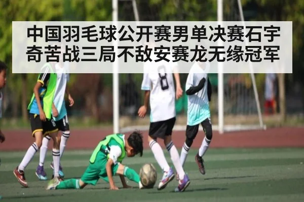 中国羽毛球公开赛男单决赛石宇奇苦战三局不敌安赛龙无缘冠军